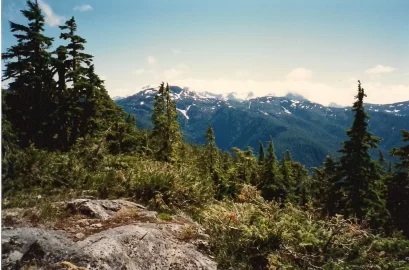 [Hearth.com] Vancouver Island Alpine