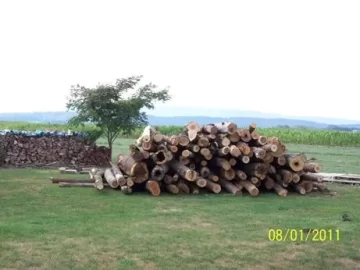 [Hearth.com] Ok it's that time of the year again....... to show wood piles/stacks!!