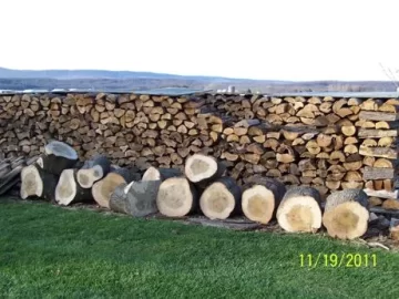 [Hearth.com] Ok it's that time of the year again....... to show wood piles/stacks!!