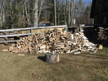 [Hearth.com] Putting up wood for 2015/2016 - nice score w/pics