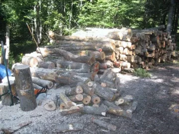 [Hearth.com] How much wood in a grapple load?