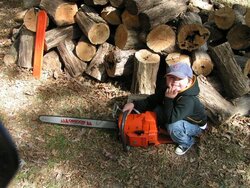 Young wood cutter