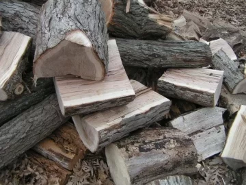 [Hearth.com] New White/Bur Oak etc salvaged from road right-of way PIC HEAVY