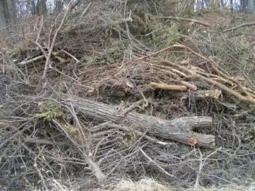 [Hearth.com] New White/Bur Oak etc salvaged from road right-of way PIC HEAVY