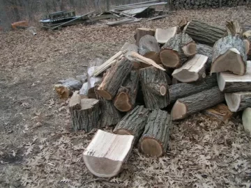 [Hearth.com] New White/Bur Oak etc salvaged from road right-of way PIC HEAVY