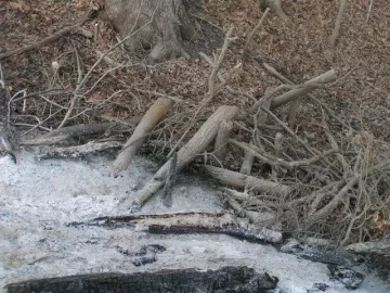 [Hearth.com] New White/Bur Oak etc salvaged from road right-of way PIC HEAVY