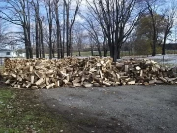 [Hearth.com] My woodpile, b4 stacking and what is that in the background...