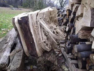 [Hearth.com] My woodpile, b4 stacking and what is that in the background...