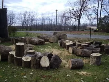 [Hearth.com] My woodpile, b4 stacking and what is that in the background...