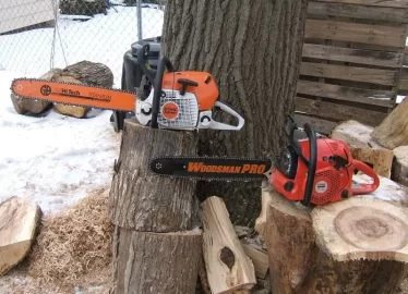 [Hearth.com] Stihl MS 310 or MS 390