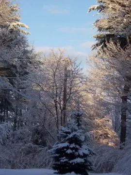 [Hearth.com] The Stunning Beauty of this NH Winter