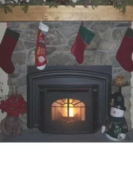 [Hearth.com] Our enviro Empress fireplace insert