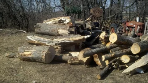 [Hearth.com] Pin Oak updated with 1st load pics