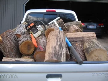 [Hearth.com] A Black Locust problem.