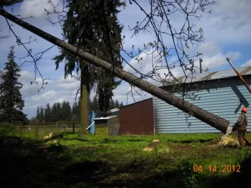 [Hearth.com] Oregon Logging Action Pics (And BIG Upcoming Scrounge!)