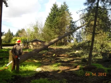 [Hearth.com] Oregon Logging Action Pics (And BIG Upcoming Scrounge!)