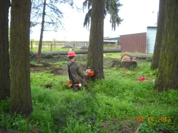 [Hearth.com] Oregon Logging Action Pics (And BIG Upcoming Scrounge!)