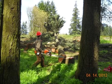 [Hearth.com] Oregon Logging Action Pics (And BIG Upcoming Scrounge!)