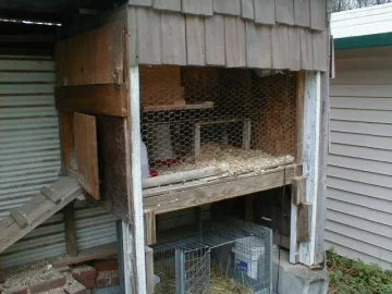 [Hearth.com] new chicken coop build...