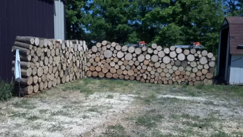 [Hearth.com] Wood: Buying cut, split, delivered vs. buying uncut logs vs. Scrounging