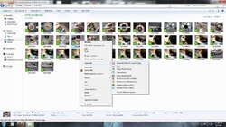 uploading photos links, tips and hints