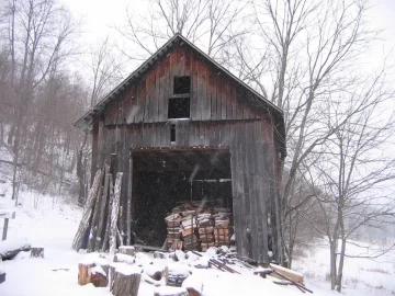 [Hearth.com] slab cut firewood