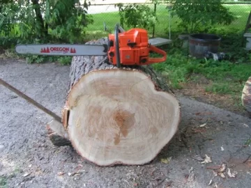 [Hearth.com] Size DOES matter ;-)  Huge Honey Locust fell into my lap again