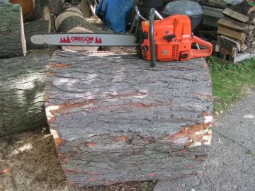 [Hearth.com] Size DOES matter ;-)  Huge Honey Locust fell into my lap again