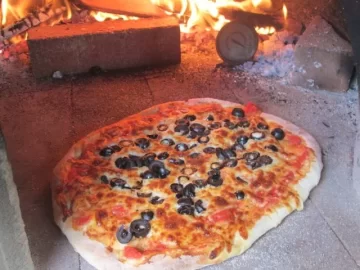 [Hearth.com] Wood fired oven.  Many nice dome firing pics.  Pizza too.