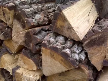 [Hearth.com] Firewood ID:  Gum, and...?