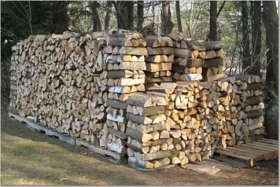 [Hearth.com] Wood Pile