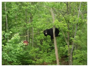 [Hearth.com] Things you see when cutting wood.