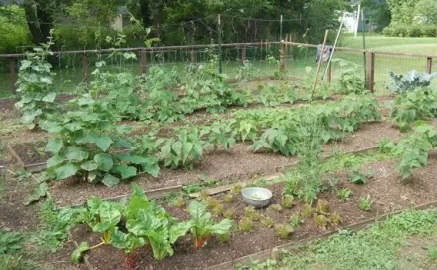 [Hearth.com] Compost and Organic Gardening