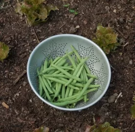 [Hearth.com] Compost and Organic Gardening