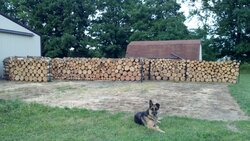 Evolution of a Wood Stack