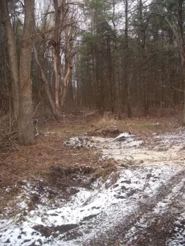 [Hearth.com] Cleaning up and getting wood at the same time.