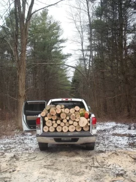 [Hearth.com] Cleaning up and getting wood at the same time.