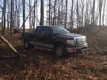 [Hearth.com] Productive Morning in the Woods