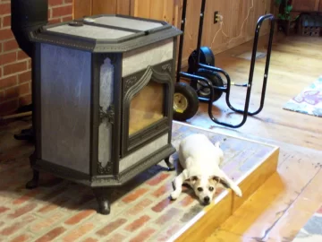 [Hearth.com] 13 year old Lily warming her old bones