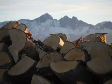 [Hearth.com] Filling the wood box @ -10°f