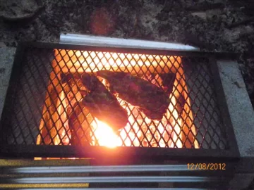 [Hearth.com] First Steaks.....