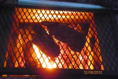 [Hearth.com] First Steaks.....