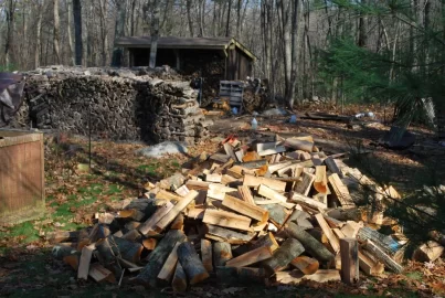 [Hearth.com] Finally, I have a Wood Shed!