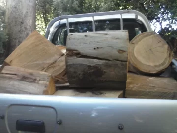 [Hearth.com] Firewood collecting - in summer