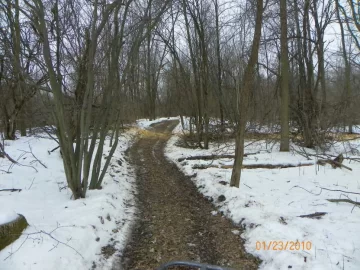 [Hearth.com] Cutting in the snow