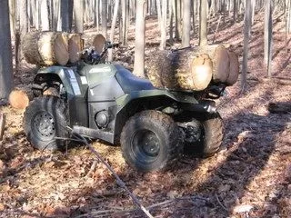 [Hearth.com] Worked in the cherry woods today again.