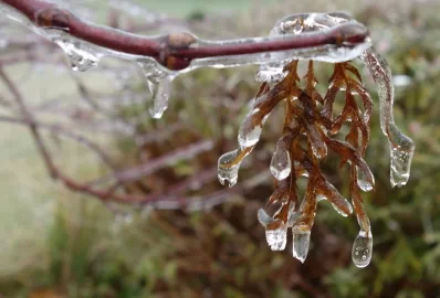 [Hearth.com] ICE Storm