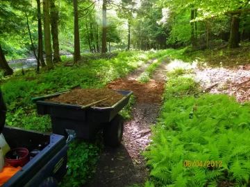 [Hearth.com] Gasifier/ Pine Needles