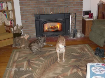 [Hearth.com] Your pup enjoying the stove or insert.