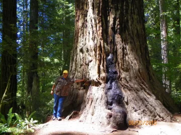 [Hearth.com] Before the chainsaw....